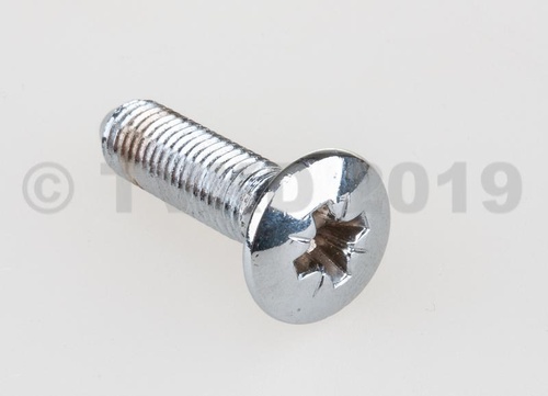 Vijs slotvanger chroom