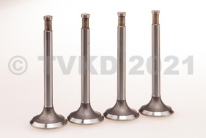  - Set inlaatkleppen voor 1965